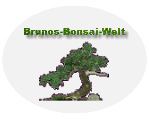 Brunos-Bonsai-Welt